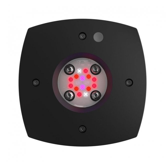 AI  Prime 16 Fuge Led Light Black