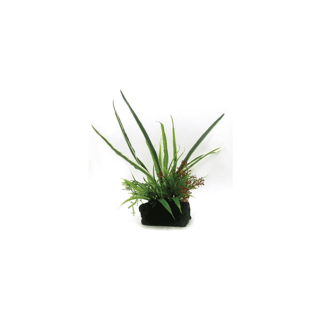 ALF Aquascene Real Rock + 12