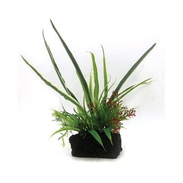 Aquascene Real Rock + 12" plant