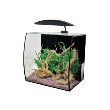 Aqua One Arc 46 Glass Aquarium with vertical bow front 