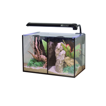 Aqua One Betta Duo
