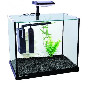 Betta Oasis Glass Aquarium