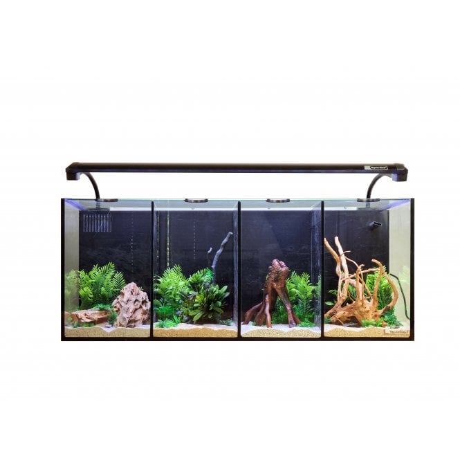 Aqua One  Betta Quad