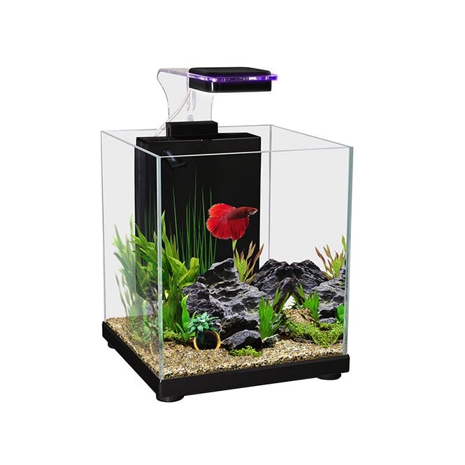 Aqua One  Betta Sanctuary