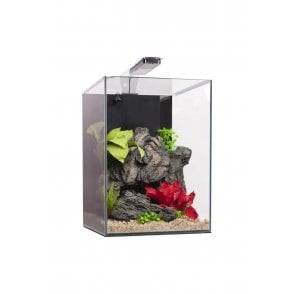 Aqua One Dynamic 55L Aquarium Only 