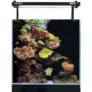 Aqua One Mini Reef 90 - Aquarium Only