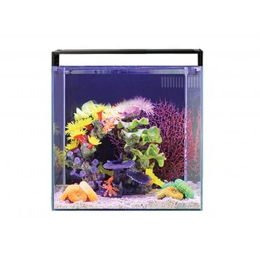 NanoReef 35 Marine Aquarium