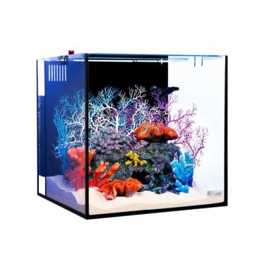 NanoReef 80 Marine Aquarium