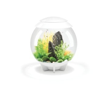 Oase biOrb HALO Family