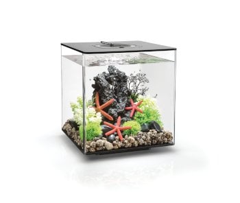 biOrb CUBE 30 MCR Black Spare Parts