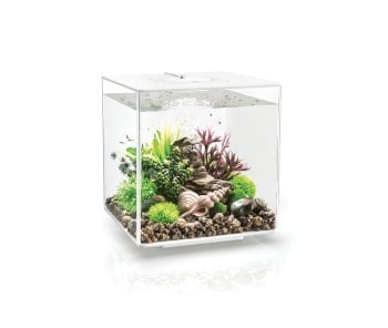 biOrb CUBE 30 MCR White Spare Parts