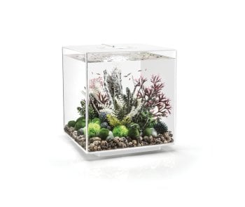 biOrb CUBE 60 MCR White Spare Parts