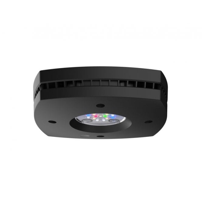 AI  Prime 16 Freshwater Hd Led Light Black