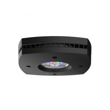 Ai Prime 16 Freshwater Hd Led Light Black