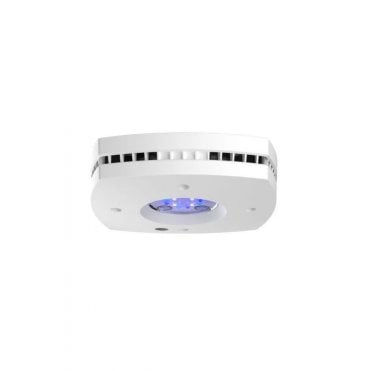 Ai Prime 16HD Freshwater White