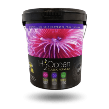 H2Ocean Classic Pro Reef Salt 23kg Bucket