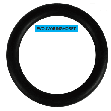 EVO Hosetail O Ring