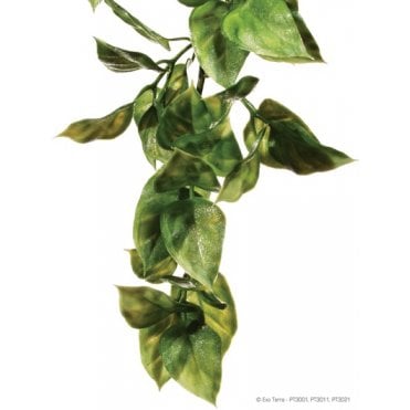 Exo Terra Amapallo Shrub Medium