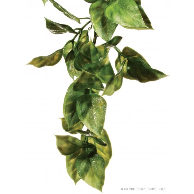 Exo Terra  Amapallo Shrub Small