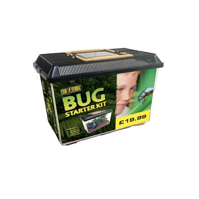 Exo Terra  Bug Starter Kits