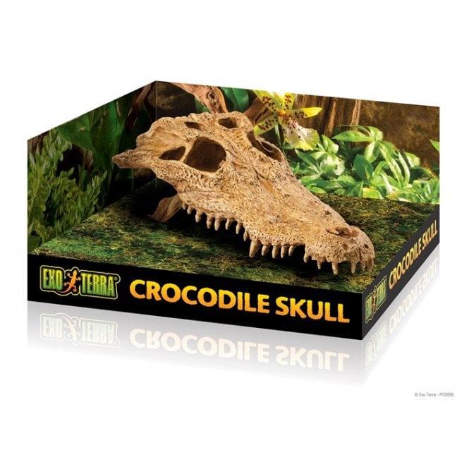 Exo Terra  Crocodile Skull