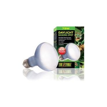 Exo Terra Daylight Basking Spot 75w
