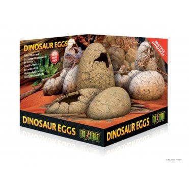 Exo Terra Dinosaur Eggs