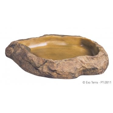 Feeding Dish - Medium