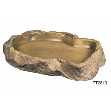 Feeding Dish - X-Large