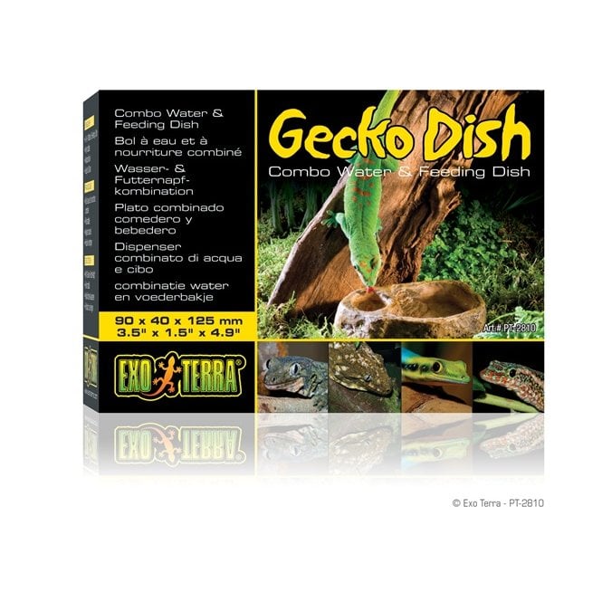 Exo Terra  Gecko Dish Combo
