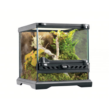 Natural Terrarium Nano/Wide