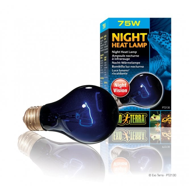 Exo Terra Night Heat Lamp 75W
