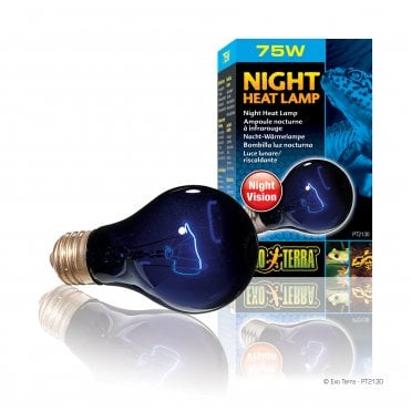 Night Heat Lamp 75W