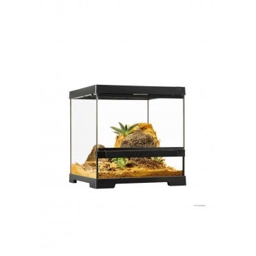 Pro Terrarium Advanced Natural Terrarium 