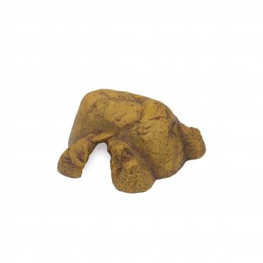 Reptile Cave Medium