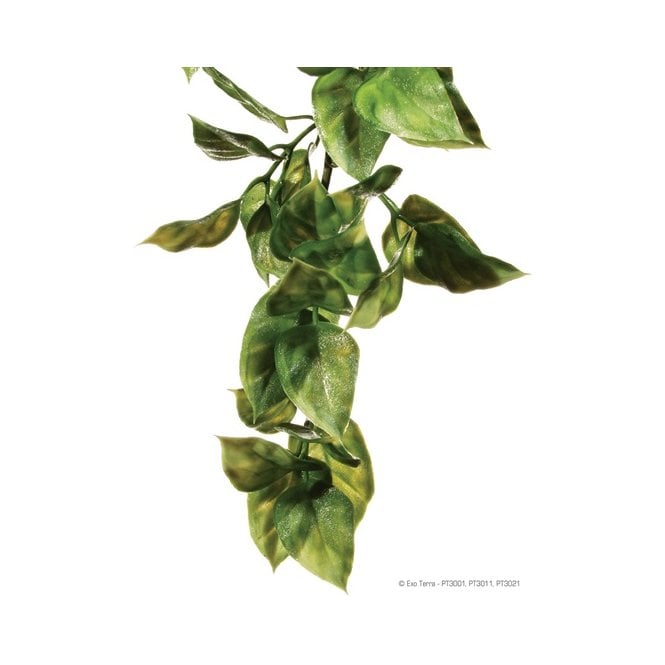 Exo Terra  Silk Amapallo Shrub Large
