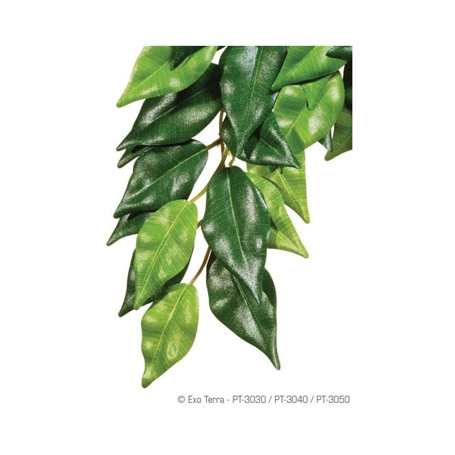Exo Terra  Silk Ficus Plant Medium