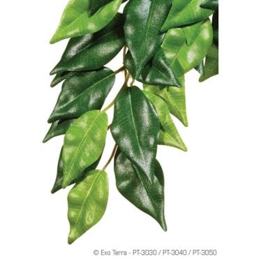 Exo Terra Silk Ficus Plant Small