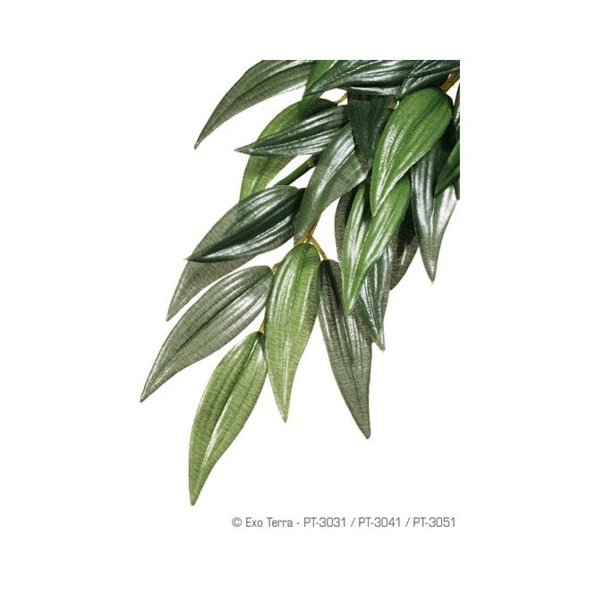 Exo Terra  Silk Rucus Plant Medium