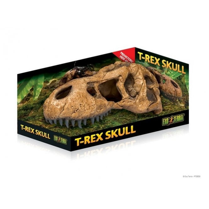 Exo Terra  T Rex Skull