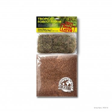 Tropical Forest Floor Dual Layer