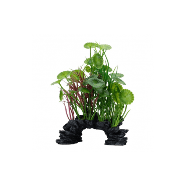 Fluval Aqualife Green Lysimachia Mix