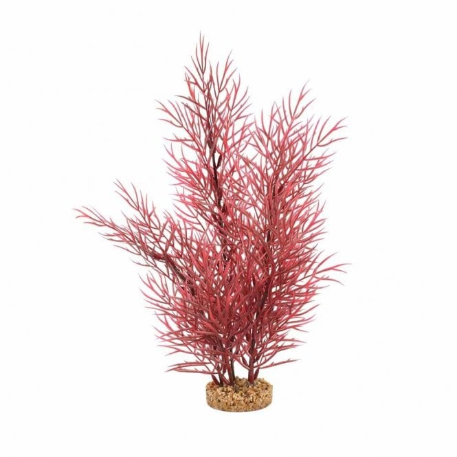 Fluval  Aqualife Scarlet Eichornea Plant (35cm)