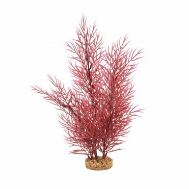 Fluval Aqualife Scarlet Eichornea Plant (35cm)