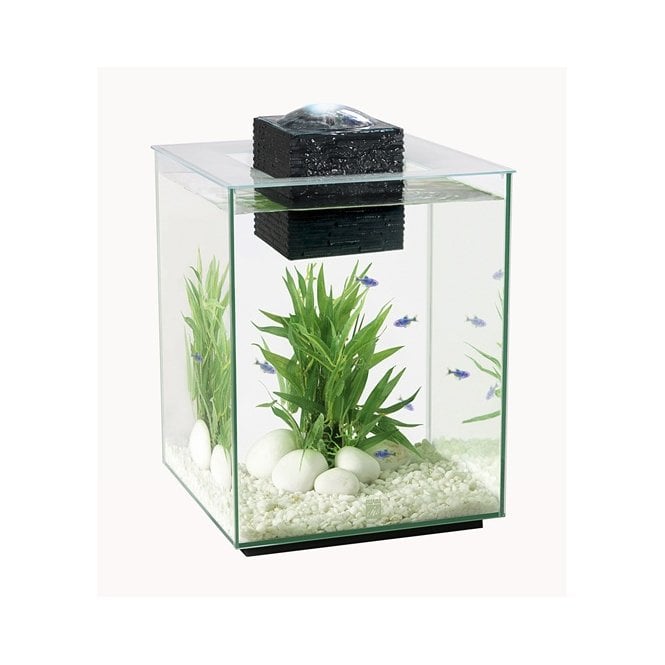 Fluval  Chi 19L - Aquarium Only