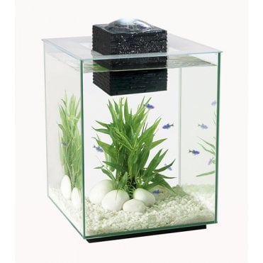 Fluval Chi 19L - Aquarium Only