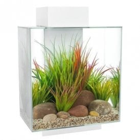 Fluval EDGE 46L - Aquarium Setup - Gloss White