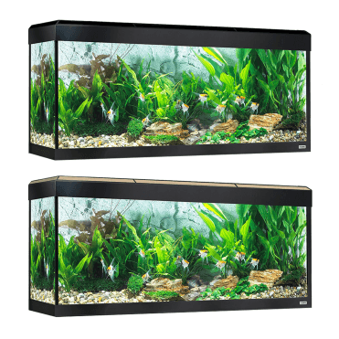 Roma 240 - Aquarium Only