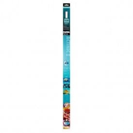 Fluval Fluval T5 HO Actinic Aquarium Bulb 39 W