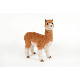 Alpaca